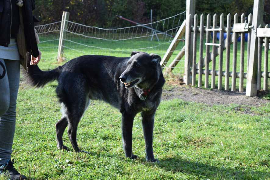 Co-Referent Luis.JPG (886 x 591)